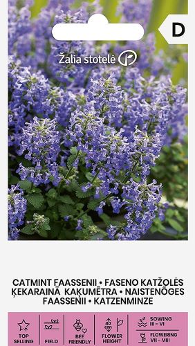 Catmint Faassennii Seeds